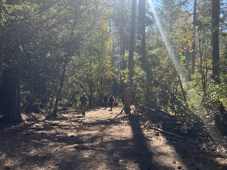 More Photos Of 15960 Bottle Rock Rd, Cobb Hotel For Sale