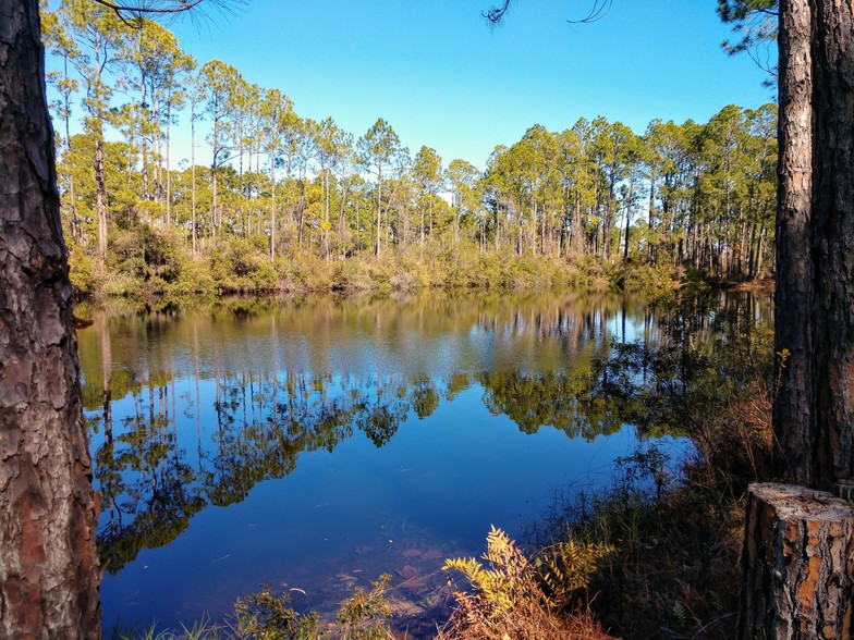 More Photos Of 11930 Panama City Beach Pky, Panama City Beach Trailer Camper Park For Sale