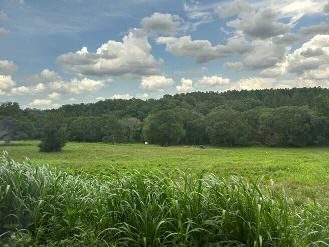 More Photos Of 520 N Fish Trap Rd, Easley Land For Sale