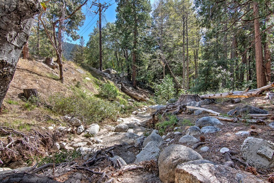 More Photos Of 54905 N Circle Dr, Idyllwild-Pine Cove Restaurant For Lease