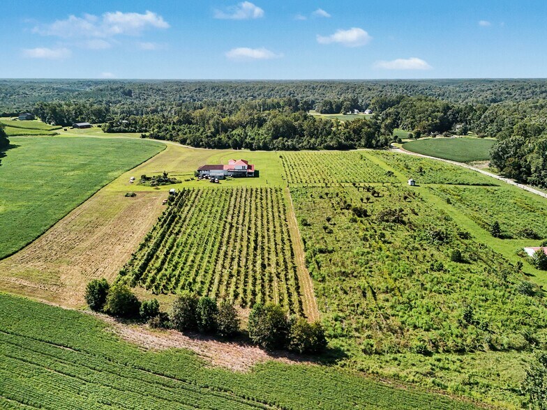 More Photos Of 495 Meadow Landing Ln, Caret Winery Vineyard For Sale