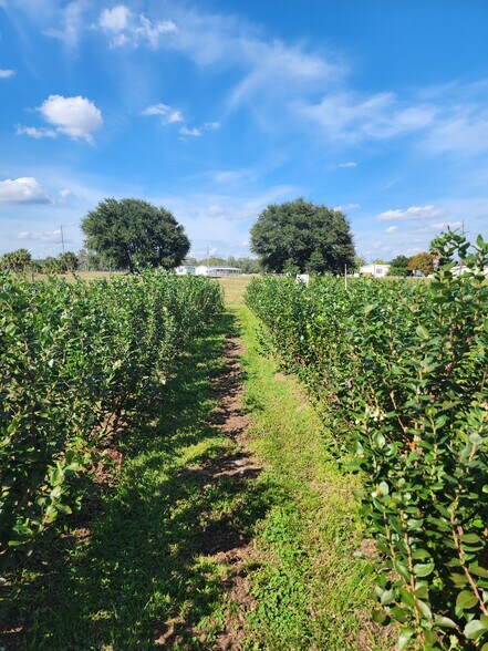 More Photos Of 3510 Walk in Water Rd, Lake Wales Winery Vineyard For Sale