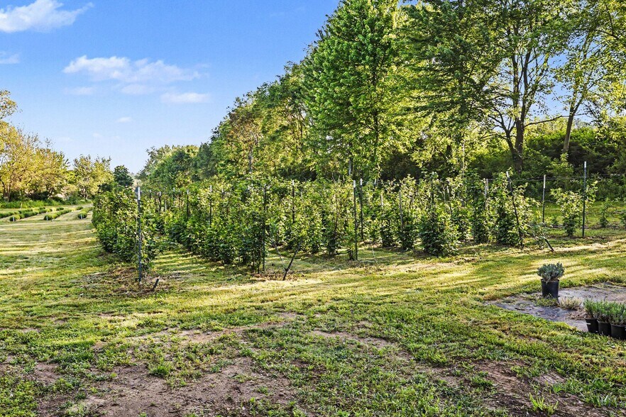 More Photos Of 2175 E Hinchman Rd, Berrien Springs Land For Sale
