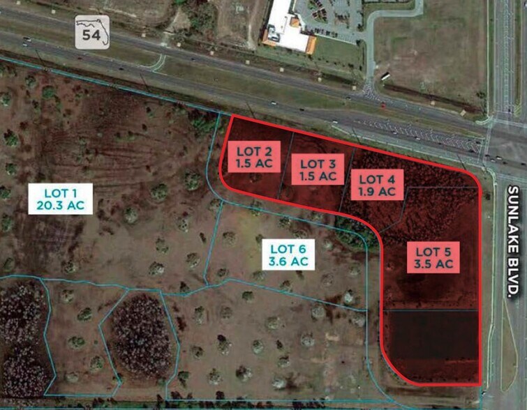 More Photos Of SR 54 & Sunlake Blvd, Lutz Land For Lease