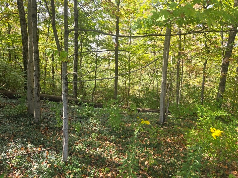 More Photos Of 0 Beecher Crossing Rd N, Gahanna Land For Sale