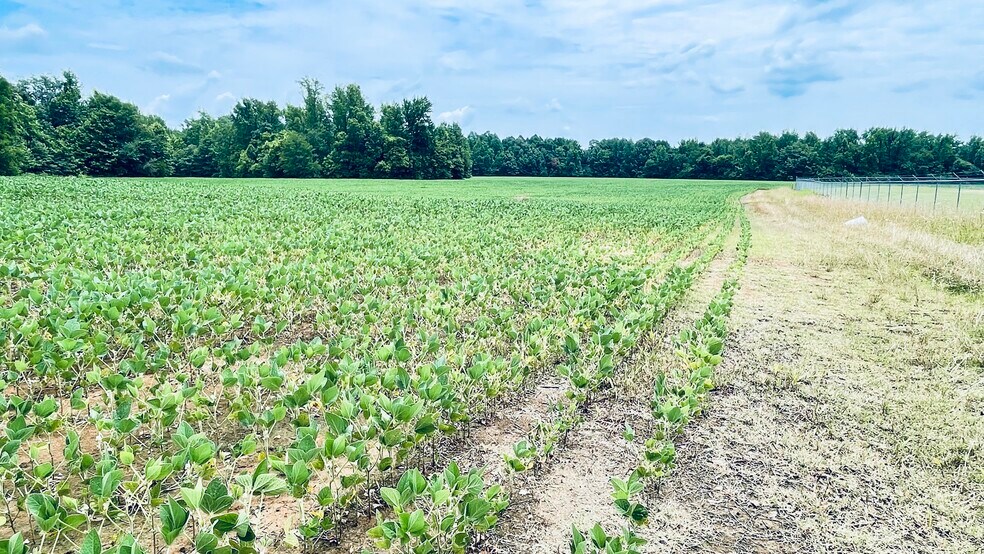 000 Highway 70 East, Jackson, TN 38305 Land For Sale