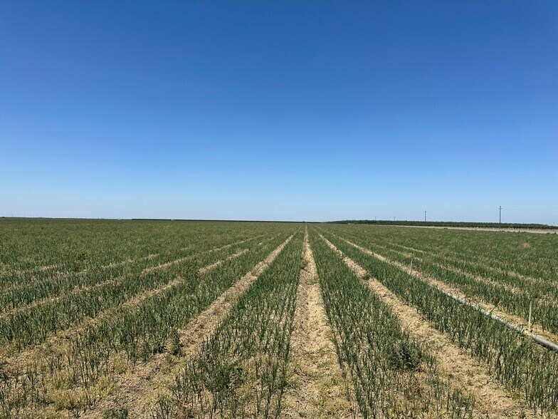 More Photos Of 29922 Mountain View ave, Cantua Creek Land For Sale