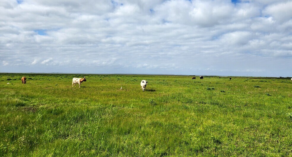 More Photos Of 0 Termini San Luis Pass Rd, Galveston Land For Sale