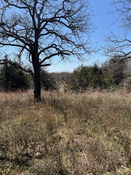 More Photos Of 2197 Netherly Ln, Forestburg Land For Sale
