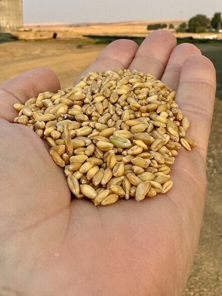 More Photos Of 601 S Main St, Lacrosse Land For Sale