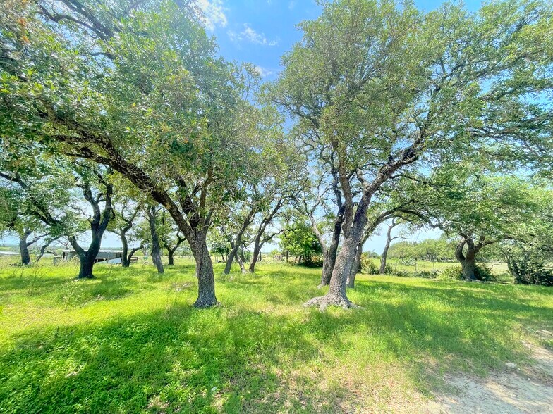 More Photos Of County Road 253, Bertram Land For Sale