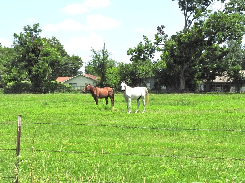 Primary Photo Of 6100 Stuebner Airline Rd, Houston Land For Sale