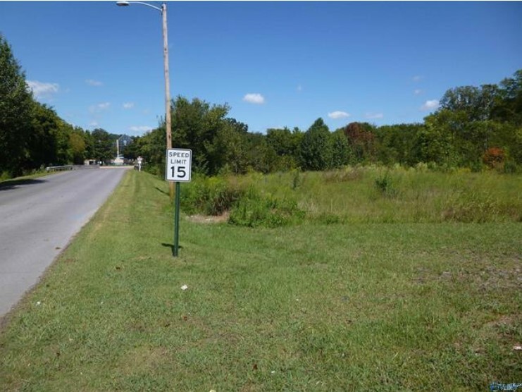 Primary Photo Of 125 Medical Center Dr SW, Fort Payne Land For Sale