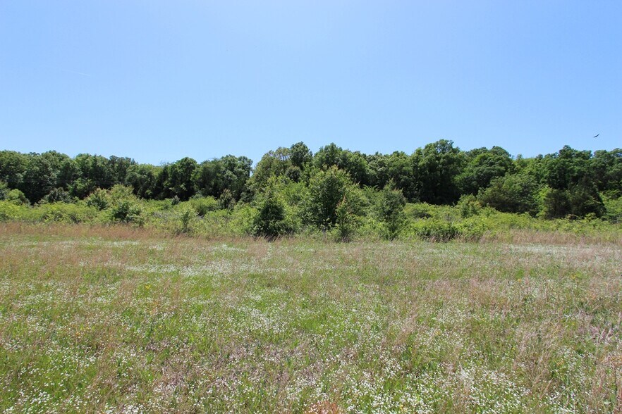 More Photos Of 278 Highway 64 E, Conway Land For Sale