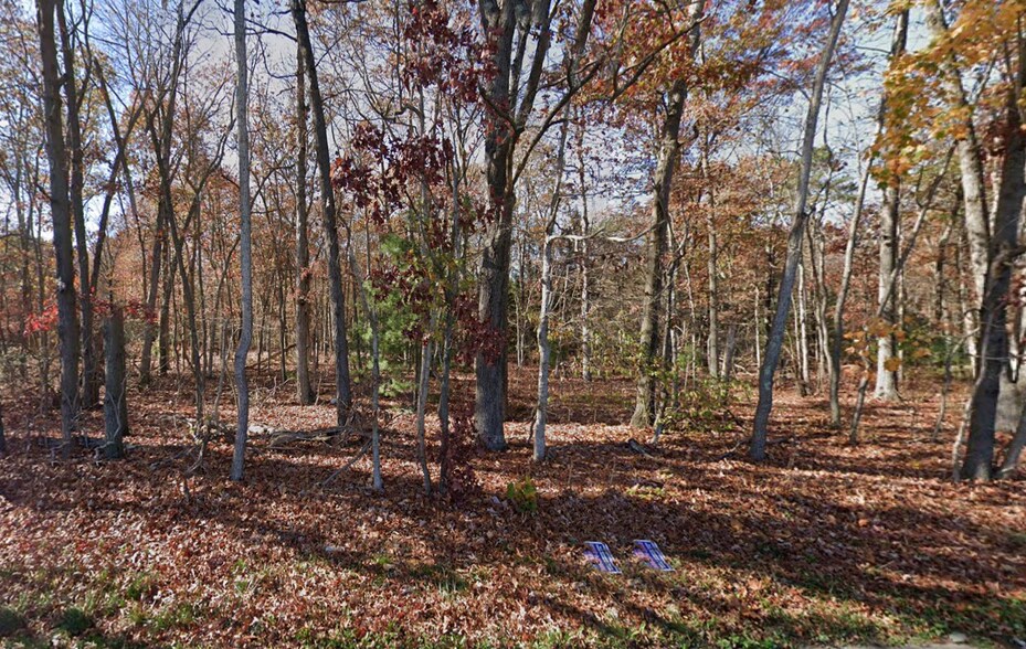 Primary Photo Of 2649 Fries Mill rd, Williamstown Land For Sale