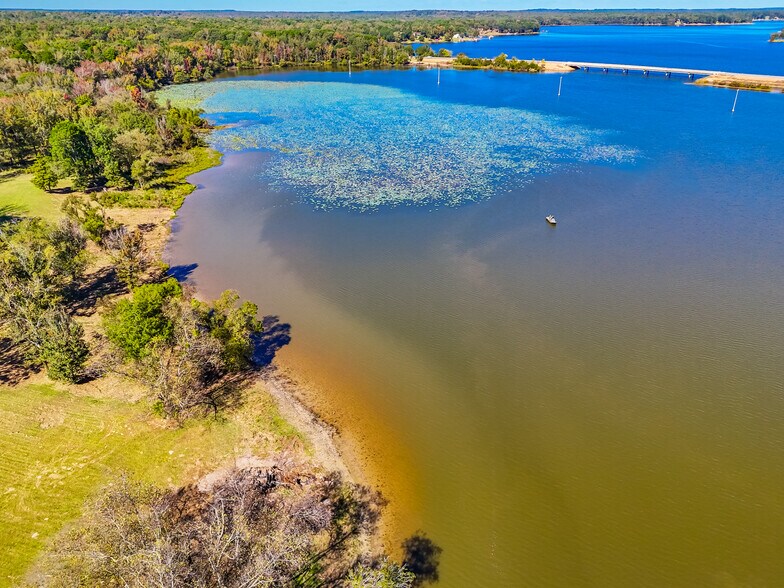 More Photos Of 391 Farm to Market 1519, Scroggins Land For Sale