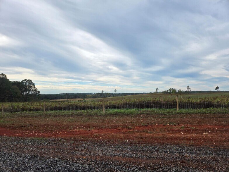 More Photos Of Glenmore Road, Scottsville Land For Sale
