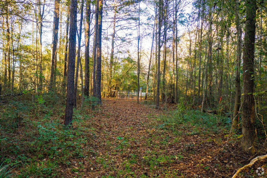 More Photos Of 4140 Arkwright Rd, Macon-Bibb Land For Sale