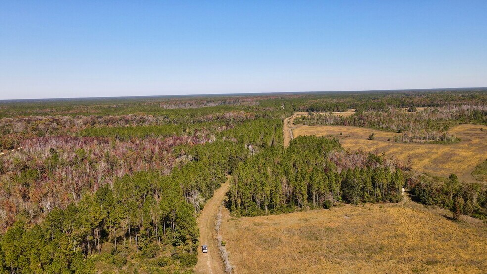 More Photos Of 4597 State 24 rd, Bronson Land For Sale