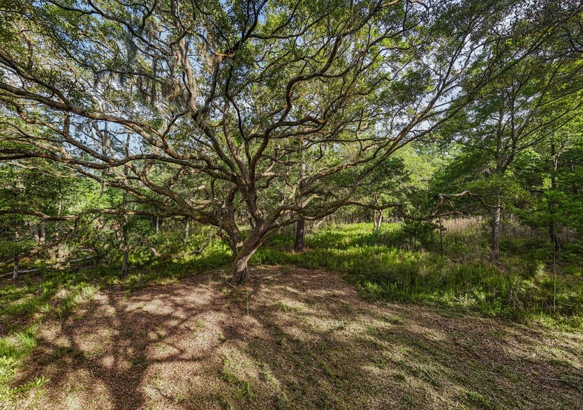 More Photos Of 0 King Rail Lane, Edisto Island Land For Sale