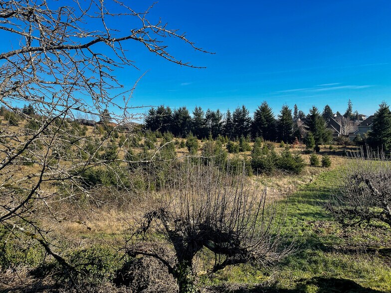 More Photos Of 1684 Doaks Ferry, Salem Land For Sale