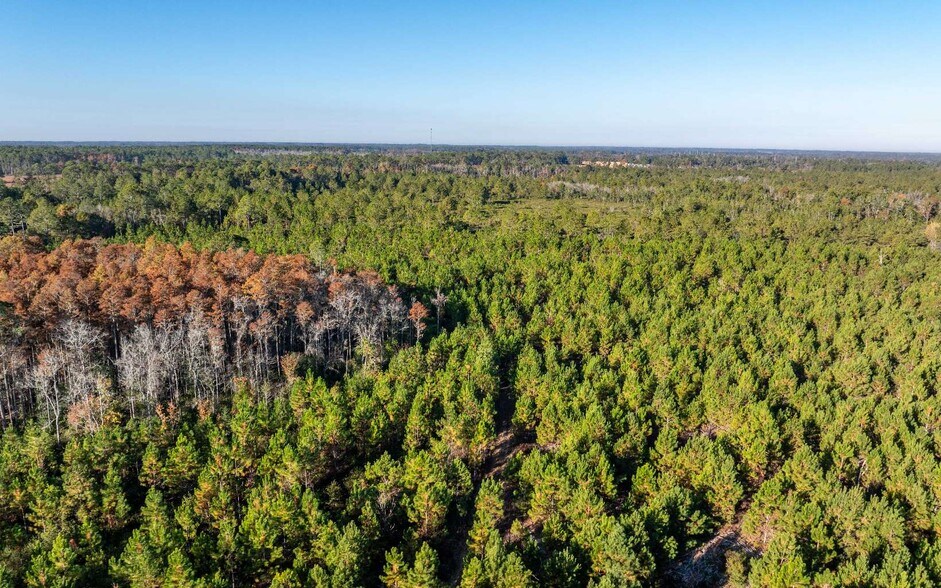 More Photos Of CR 137, Wellborn Land For Sale