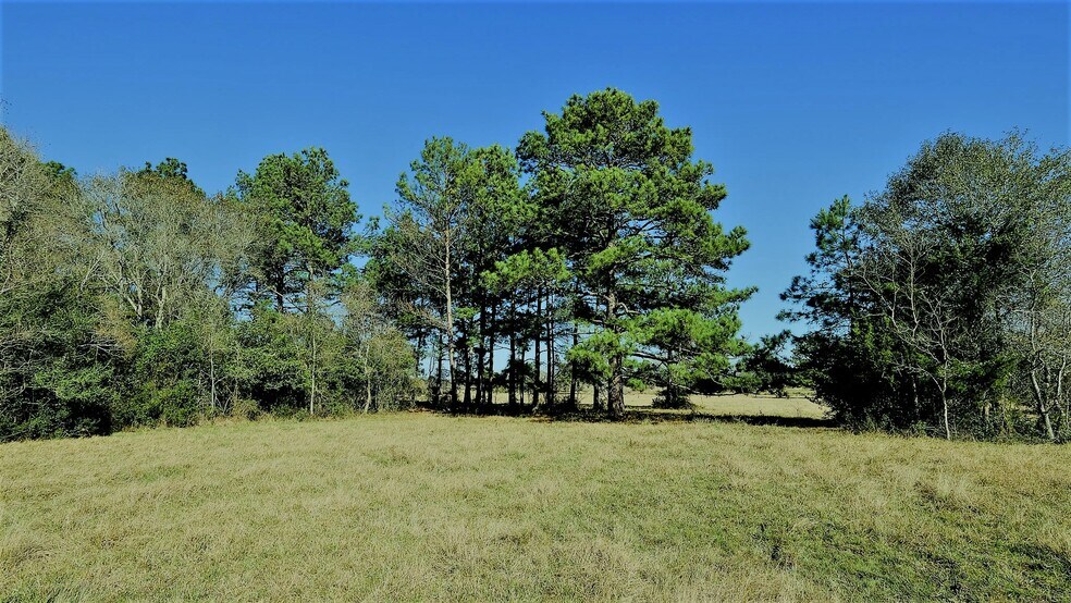 More Photos Of 26266 Fields Store Rd., Waller Land For Sale