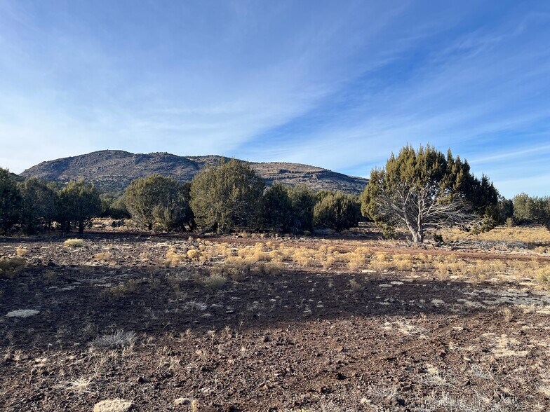 More Photos Of 17411 Ranch Rd, Williams Land For Sale