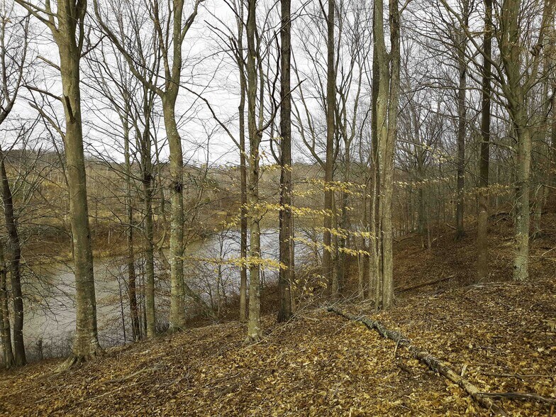 More Photos Of 564 W Main St, Yanceyville Land For Sale