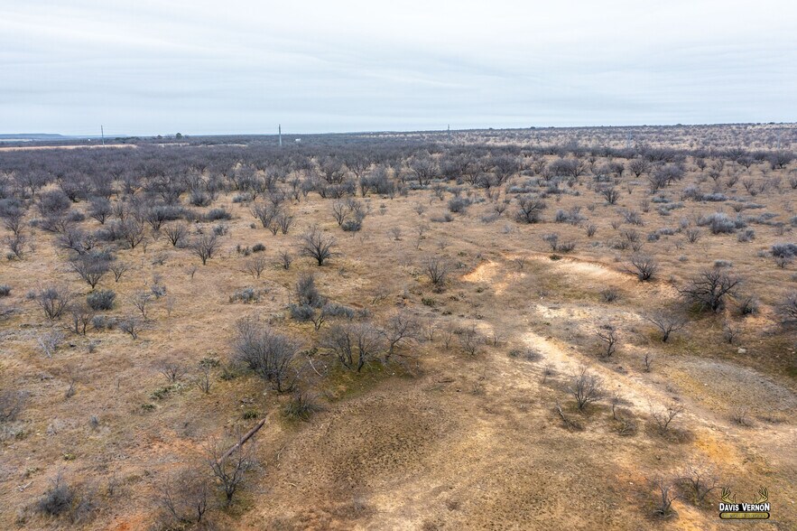 More Photos Of US Hwy 283 & I-20, Baird Land For Sale