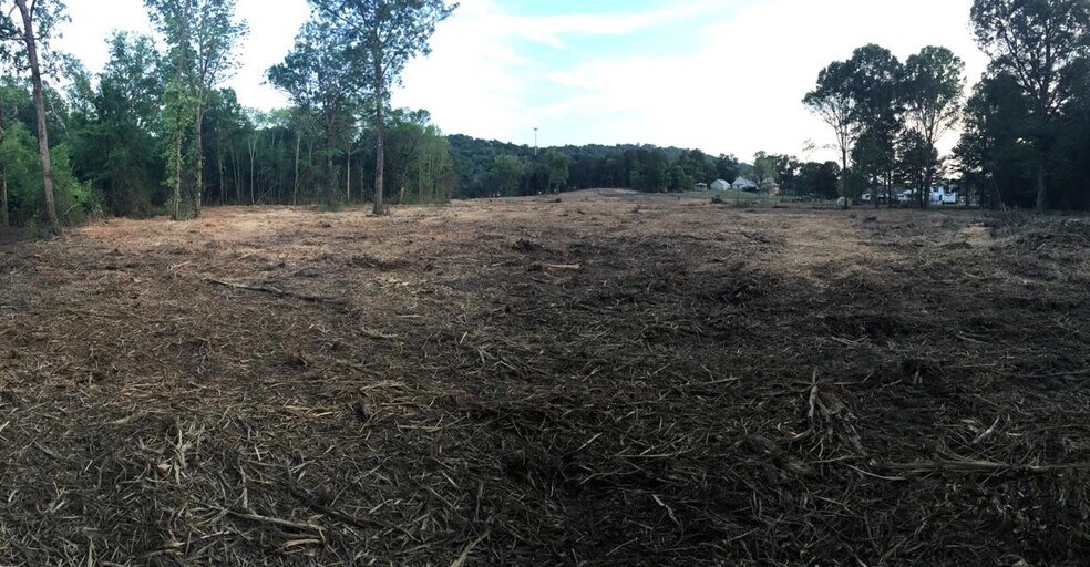 More Photos Of 1969 Thrasher Pike, Hixson Land For Sale