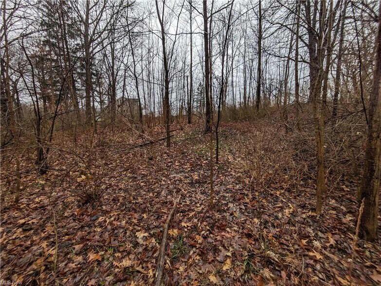 More Photos Of 26 Grand Valley ave, Orwell Land For Sale