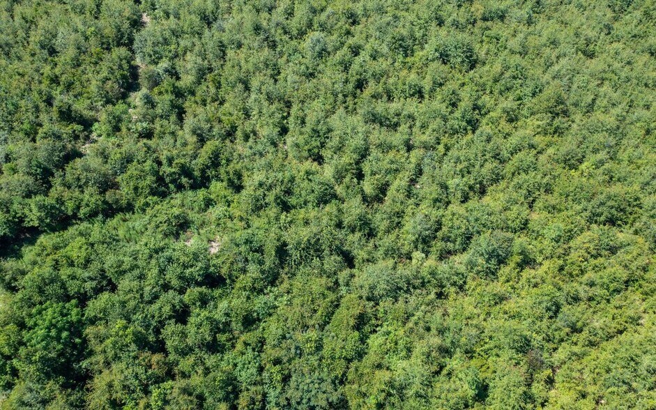 More Photos Of Crossen Avenue & Ichetucknee Rd, Live Oak Land For Sale