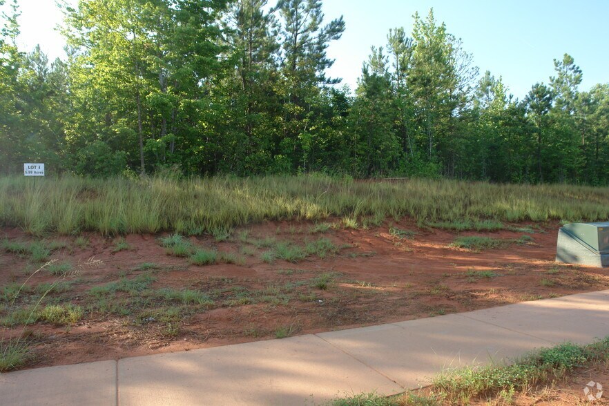 More Photos Of 205 Ivy Hill Ln, Rock Hill Land For Sale