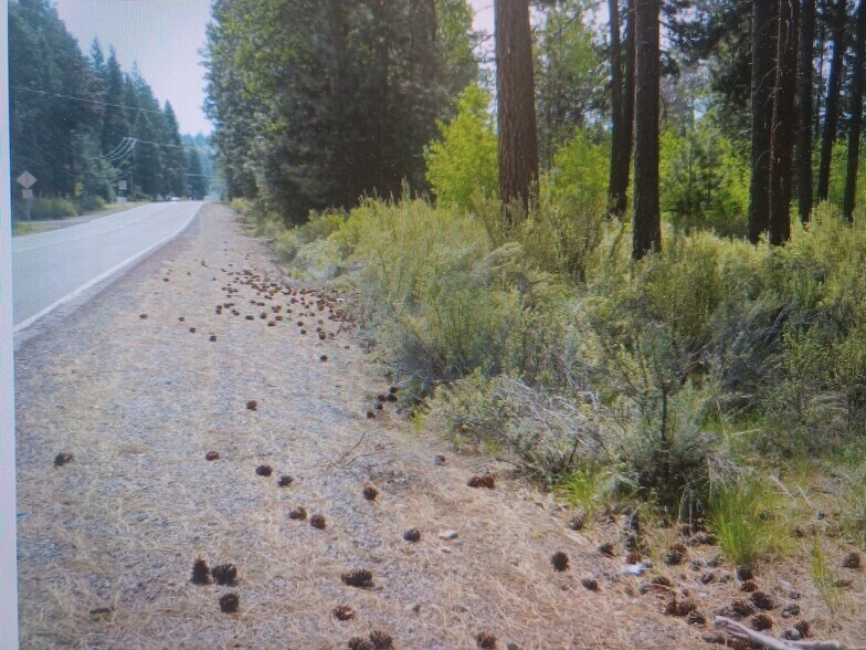 Primary Photo Of 227 Highway 422, Chiloquin Land For Sale