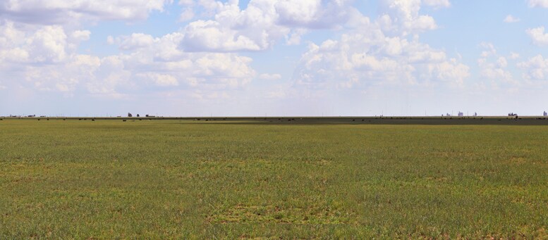 More Photos Of 807 County Road 515, Dimmitt Land For Sale