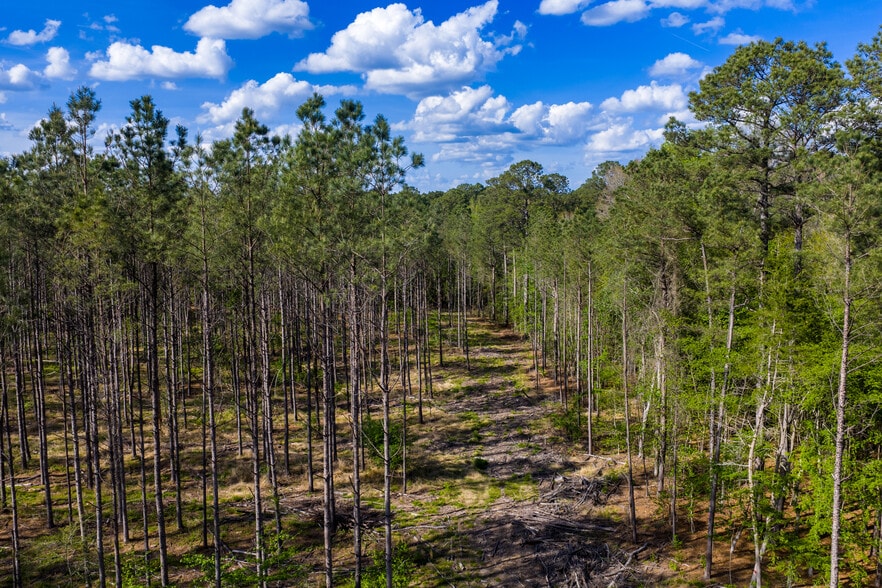 More Photos Of HWY 7, Mount Holly Land For Sale