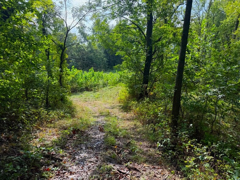 More Photos Of 17660 Golden Rd, Linwood Land For Sale