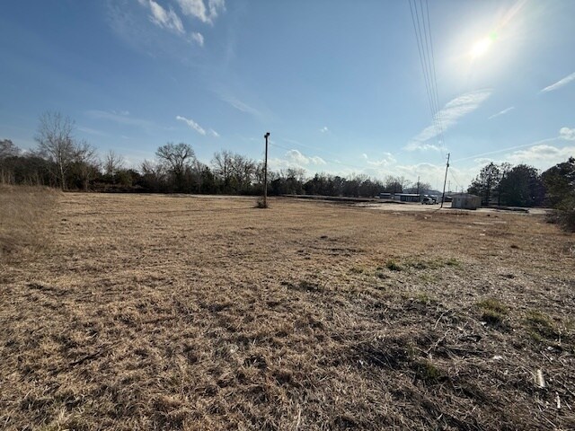 Primary Photo Of 301 S Parsonage St, Bennettsville Land For Lease