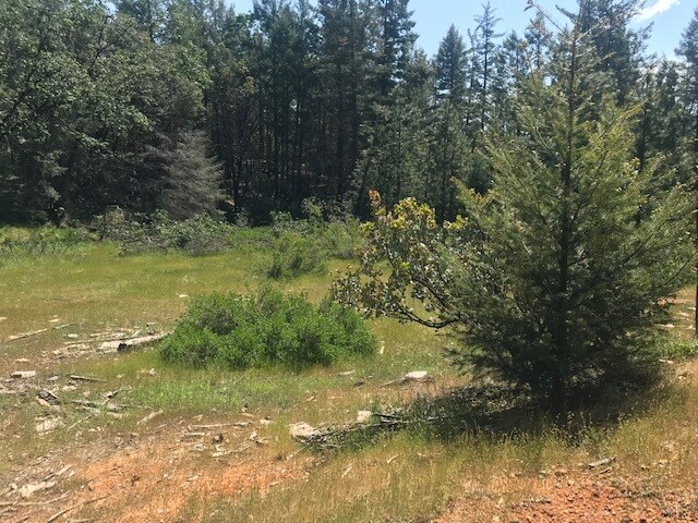 More Photos Of Canyon Creek Drive -1 @ Canyon Way, Colfax Land For Sale