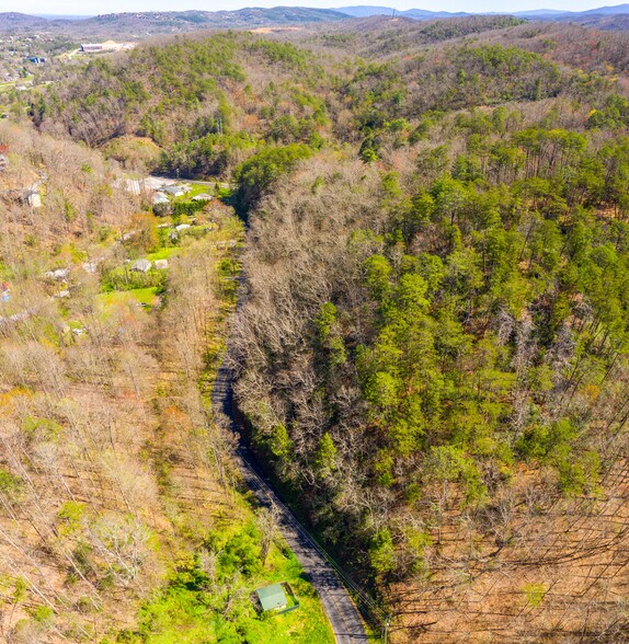 More Photos Of 4300 Parkway, Pigeon Forge Land For Sale