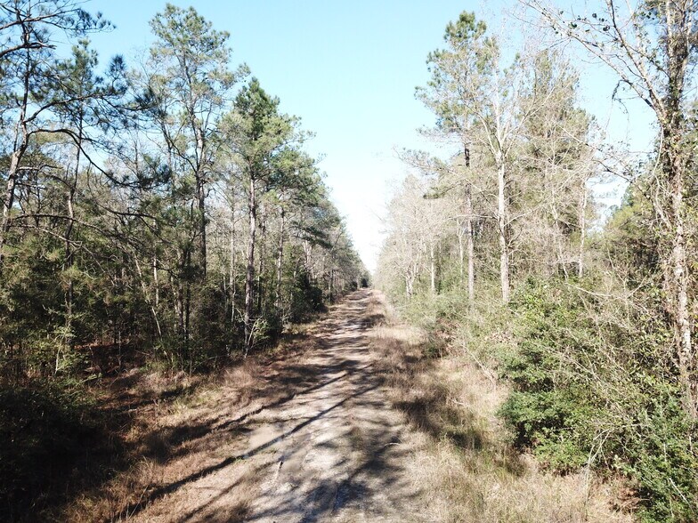 More Photos Of Corrigan Road, Vidor Land For Sale