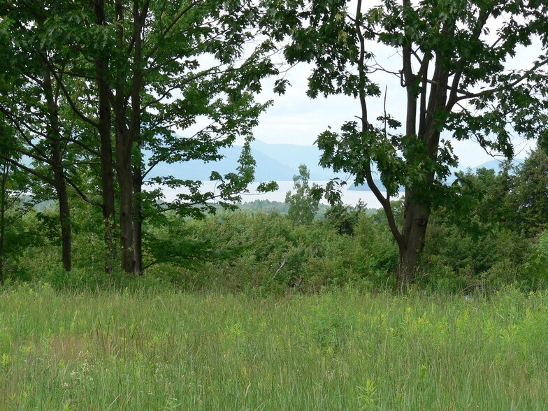 More Photos Of Mt Vernon St, Newport City Land For Sale