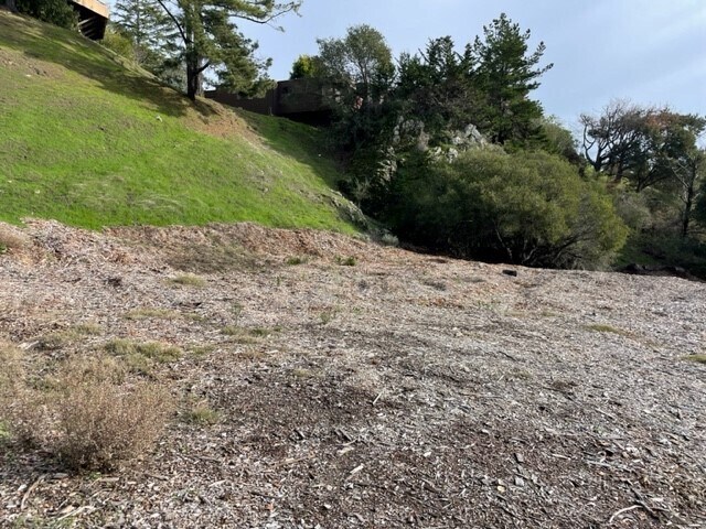 More Photos Of Redwod Rd @ Skyline Blvd, Oakland Land For Sale