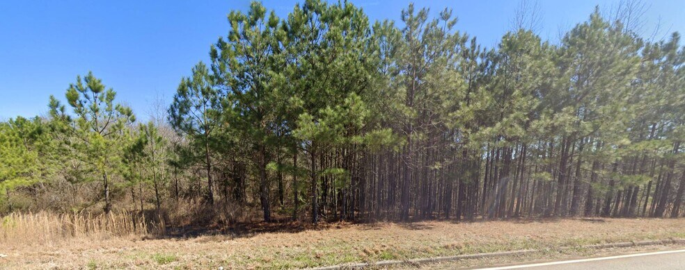 More Photos Of 2440 Jason Industrial Pky, Winston Land For Sale