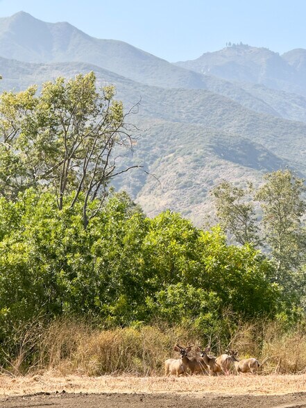 More Photos Of 5737 Bonsall Drive, Malibu Land For Sale