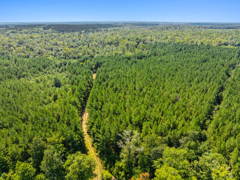 More Photos Of 7471 Highway 155, Saline Land For Sale