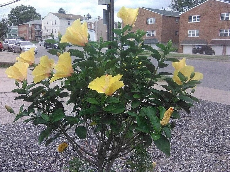 More Photos Of 2038 Grant Ave, Philadelphia Specialty For Sale