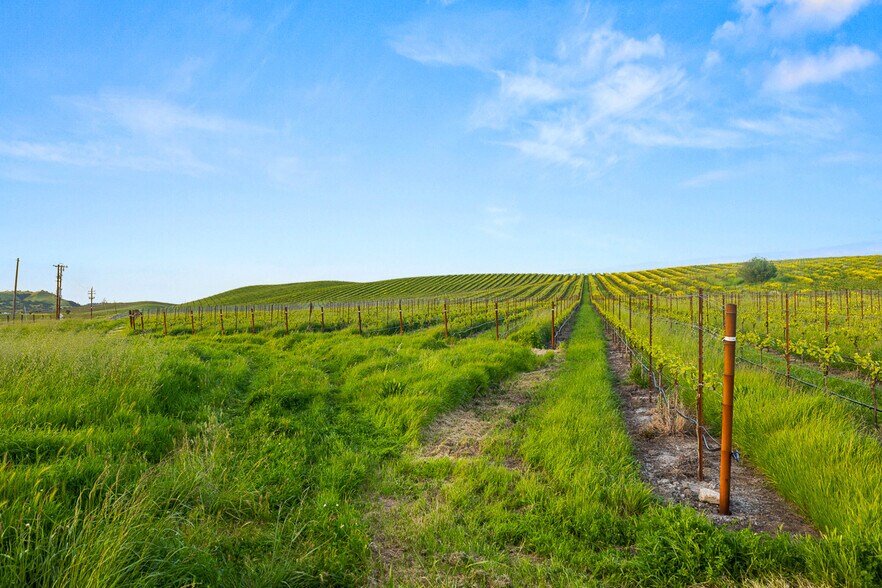 More Photos Of 2750 Las Amigas Rd, Napa Winery Vineyard For Sale