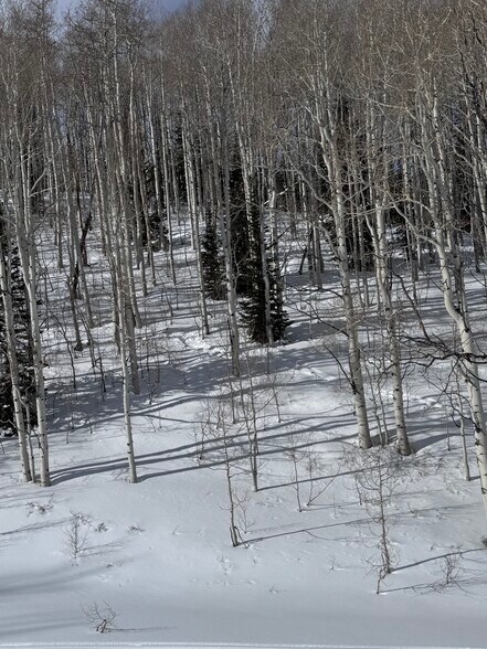 More Photos Of Parcels Logan lot 724 - U.P. No.2 lot 724 @ Red Cloud Rd., Park City Land For Sale
